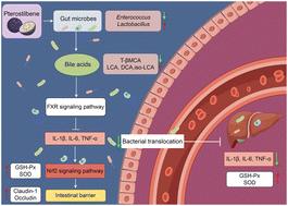 Pterostilbene attenuates intestinal barrier damage and secondary liver oxidative stress in a murine model of Clostridium difficile infection by regulating the gut microbiota†