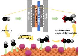 Single-atom mediated crystal facet engineering for the exceptional production of acetate in CO electrolysis†