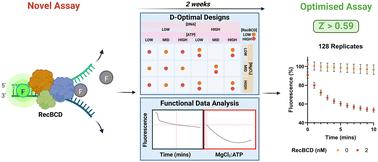 Development of a fluorescence-based assay for RecBCD activity using functional data analysis and design of experiments†