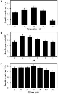 Isolation of xylanase-producing yeast Pseudozyma tsukubaensis from chrysanthemum