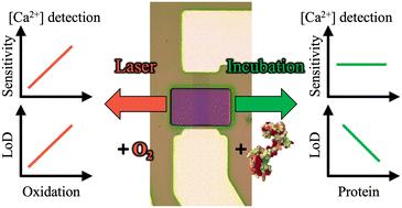 Effect of two-photon oxidation and calmodulin functionalization on the performance of graphene field-effect transistor biosensors†