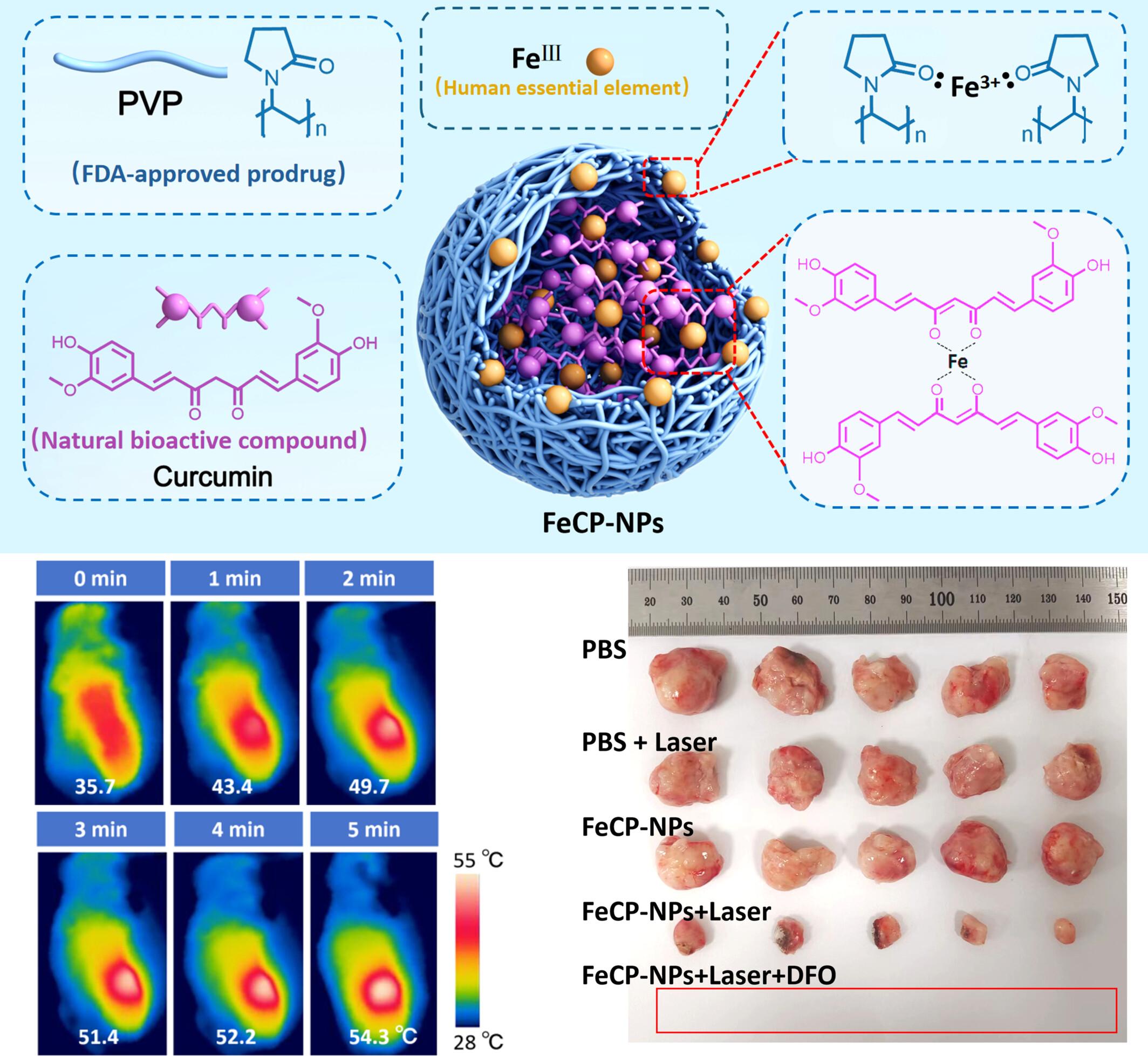 Iron–Curcumin–Polyvinylpyrrolidone Nanoparticles With Dynamic Disassembly and Elimination Abilities for Photothermal/Chemo Combinatorial Therapy