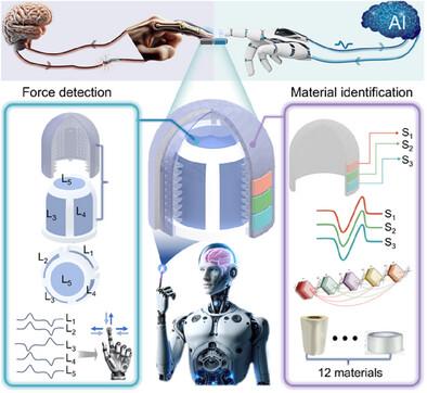 Multimodal Finger-Shaped Tactile Sensor for Multi-Directional Force and Material Identification