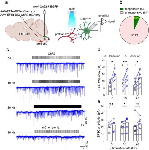 A Molecularly Defined Medullary Network for Control of Respiratory Homeostasis