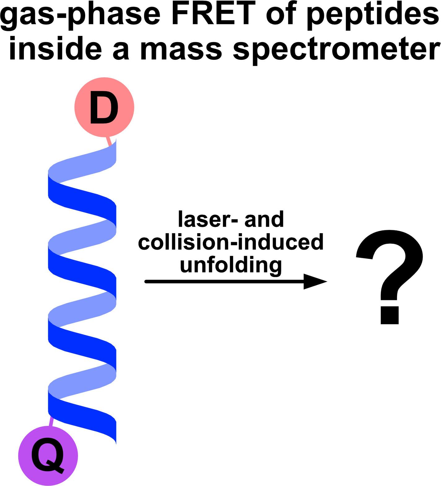 How Native Are Peptides After Activation by Collisions or Photons? A Gas-Phase FRET Study