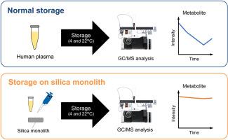 Application of silica monoliths for improved storage stability of metabolites in human plasma