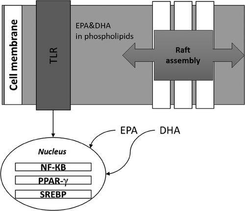 Immunomodulatory Effects of Omega-3 Fatty Acids: Mechanistic Insights and Health Implications