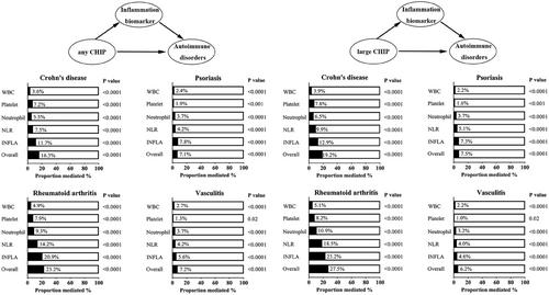 Clonal hematopoiesis of indeterminate potential and the risk of autoimmune diseases