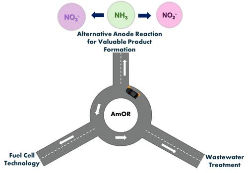 Electrocatalytic Ammonia Oxidation Reaction: Selective Formation of Nitrite and Nitrate as Value-Added Products