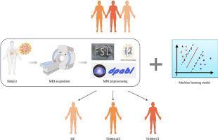 Applications of resting-state fMRI and machine learning in cognitive impairment in type 2 diabetes mellitus: A scoping review