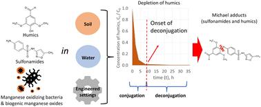 Reversible transformations of sulfamethoxazole and its submoieties by manganese-oxidizing bacteria and biogenic manganese oxides in the presence of humic substances†