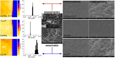 The effect of nanoreinforcement geometry on the physical and structural properties of whey protein concentrate/omega-3 rich oil/TiO2 nanocomposite films†