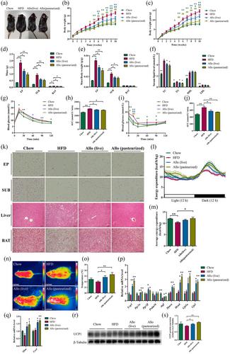 Allobaculum plays a predominant role in the activation of brown fat tissue by diallyl trisulfide