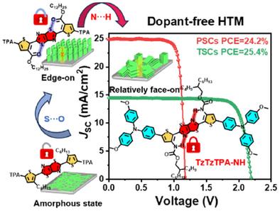 Management of Intramolecular Noncovalent Interactions in Dopant-Free Hole Transport Materials for High-Performance Perovskite Solar Cells
