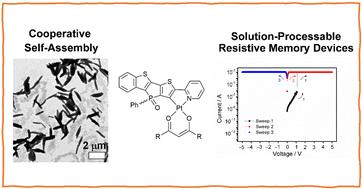Phosphole oxide-based cyclometalated platinum(ii) β-diketonate complexes for cooperative self-assembly and solution-processable resistive memories with excellent stability†‡