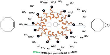 Amphiphobic surface-active ionic liquids as dynamic micellar phase-transfer catalysts for biphasic epoxidations†