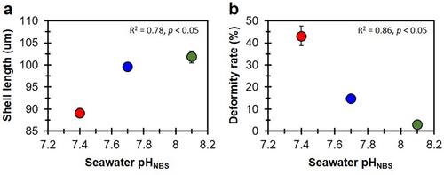 Initiation of bivalve shell calcification under ocean acidification: integrating insights from shell to cell