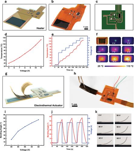 Laser-Enabled Fabrication of Flexible Printed Electronics with Integrated Functional Devices