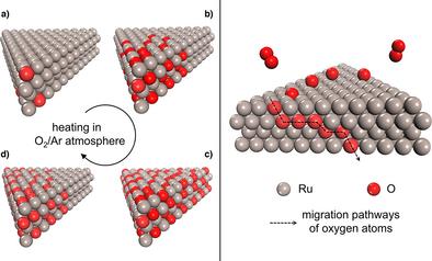 Oxygen Atom Migration Dominates Anomalous Reversible Oxidation of Ru Nanosheets