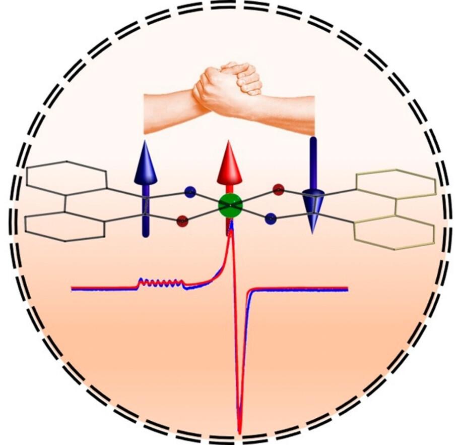 Probing the Slow Relaxation of Magnetization of a Square Planar Cobalt Complex with Doublet Ground State