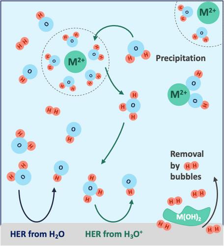 The Influence of Alkaline Earth Metal Cations on the Performance of Platinum Electrodes during Brine Electrolysis