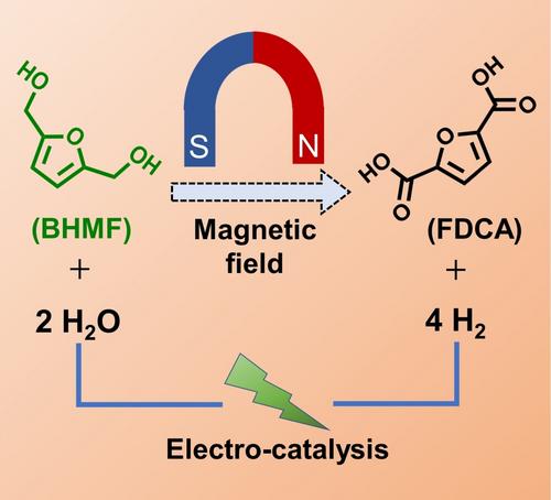 External Magnetic Field Enhances Biomass Electrooxidation
