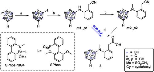 Advances in Diclofenac Derivatives: Exploring Carborane-Substituted N-Methyl and Nitrile Analogs for Anticancer Therapy