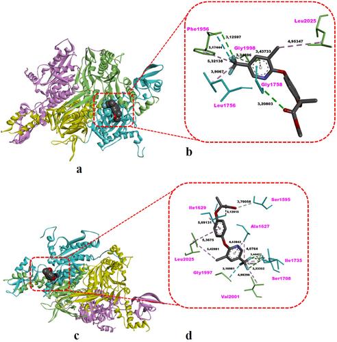 Efficacy of Haloxyfop-R-Methyl on Allium cepa: Cyto-Genotoxic and In Silico Docking Studies on the Mechanism of Action