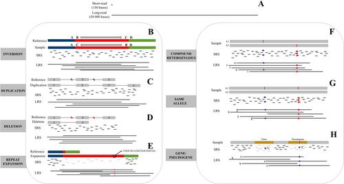 Exploration of Neurodegenerative Diseases Using Long-Read Sequencing and Optical Genome Mapping Technologies