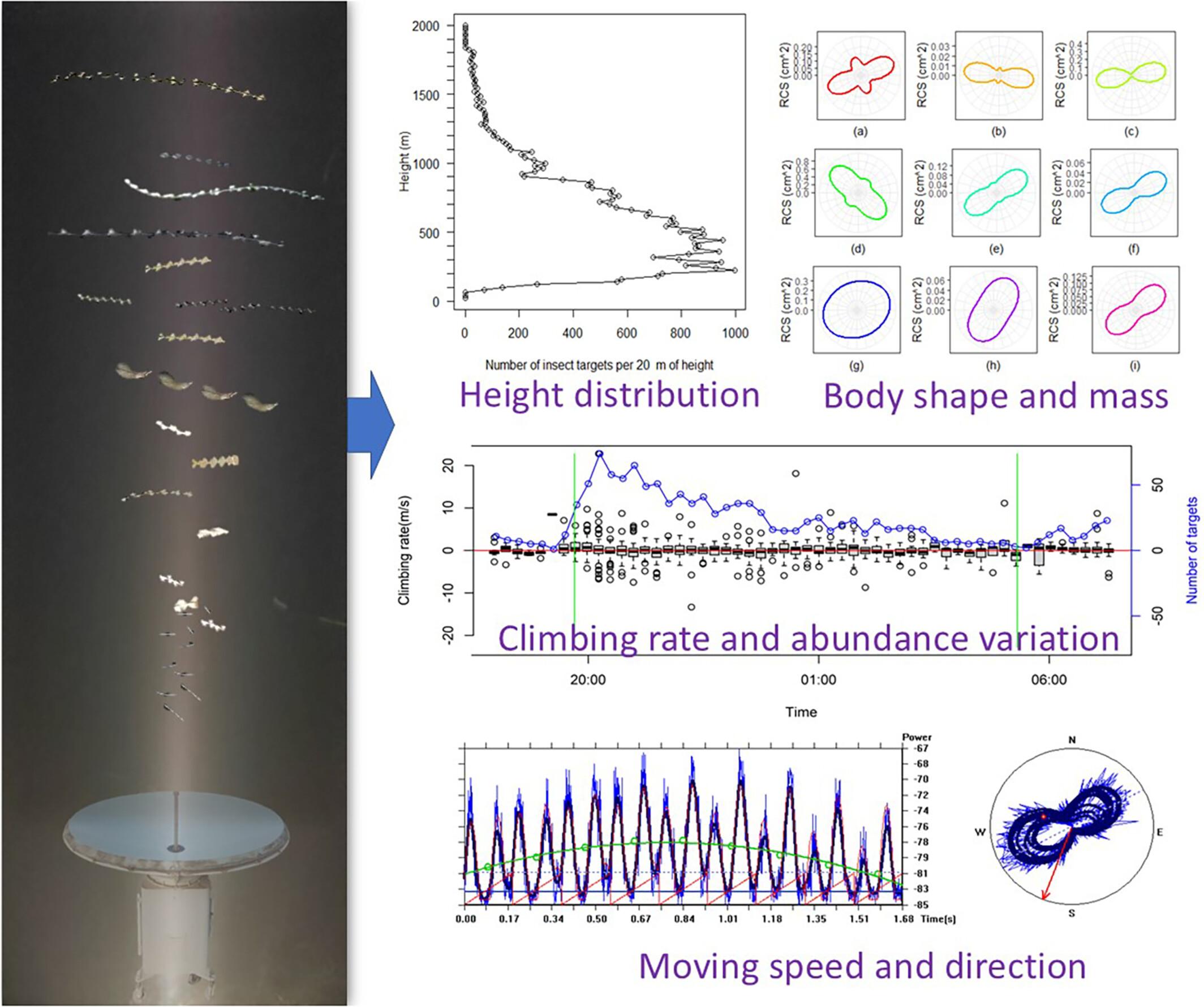 First high-resolution vertical-looking radar for long-term automatic observation of high-flying insects in Asia