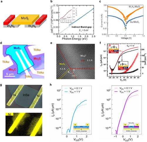 2D Nonlayered Materials for Transistor Application