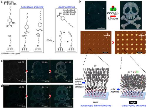 Zero-Power, Optical Toxic Gas and Vapor Sensors Utilizing Printed Nematic Liquid Crystal Patterns on Selectively Reactive Substrates