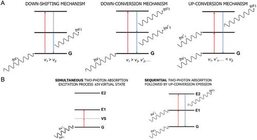 Roadmap to Nanomedical Applications: Nanotoxicology and In Vitro Guidelines for Lanthanide-Doped Luminescence Nanothermometers
