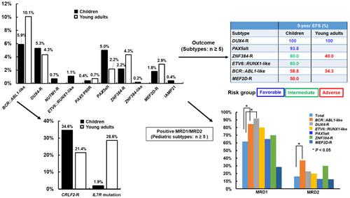 Frequency and prognostic value of unconventional genetic subtypes in paediatric and young adult B-cell precursor acute lymphoblastic leukaemia in Taiwan