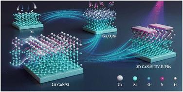 Two-dimensional GaN/Si heterojunctions towards high-performance UV-B photodetectors†