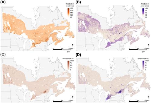 Evaluating occurrence and abundance of displaying male American woodcock (Scolopax minor) north of the current Singing-Ground Survey range