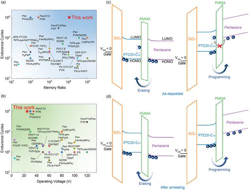Overcoming Endurance Limitations in Organic Nonvolatile Memories Through N-Type Small-Molecule Semiconductor Implementation and Thermal Optimization
