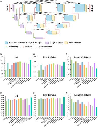 π-PhenoDrug: A Comprehensive Deep Learning-Based Pipeline for Phenotypic Drug Screening in High-Content Analysis