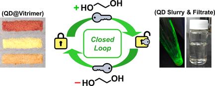 Sustainable Quantum Dot-Vitrimer Composites: A Synergy of Quantum Dots and Dynamic Covalent Bonds