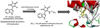 Indolylmaleimide derivatives as a new class of anti-leishmanial agents: synthesis and biological evaluation†