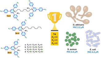 Minimalistic bis-triarylpyridinium cations: effective antimicrobials against bacterial and fungal pathogens†