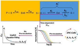 Methods for kinetic evaluation of reversible covalent inhibitors from time-dependent IC50 data†
