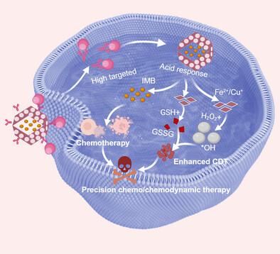 Porous Fe/Cu Nanoreactor with Dual Insurance Design for Precision Chemotherapy and Chemodynamic Therapy