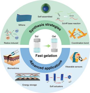 Self-Driven Rapid Gelation Technologies for Hydrogels: Synthesis Strategies, Mechanisms, and Applications