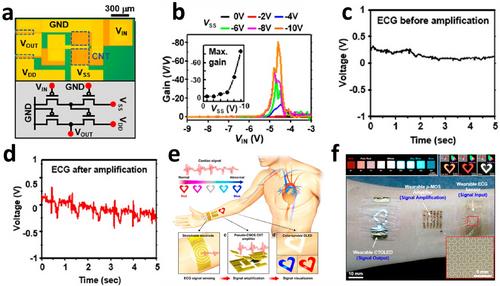 Advances of Carbon Nanotube Based Flexible Amplifiers for Skin-Mounted Physiological Signal Monitoring