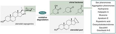 Steroidal sapogenin-derived chirons: underdeveloped building blocks with methyl-branched chiral centers