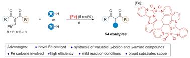 Fe-Catalyzed B–H and N–H insertion reactions of iodonium ylides†