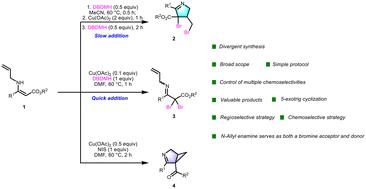 Copper-mediated divergent synthesis of halogenated 1-pyrrolines, 3-azabicyclo[3.1.0]hex-2-enes and α,α-dibromo imines from N-allyl enamines†