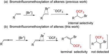 Bromotrifluoromethoxylation of allenes: expedient access to allylic trifluoromethoxy derivatives†