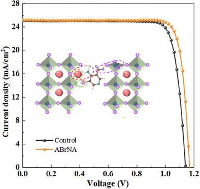 Multifunctional Universal Additive for Stable and Efficient Inverted Perovskite Solar Cells